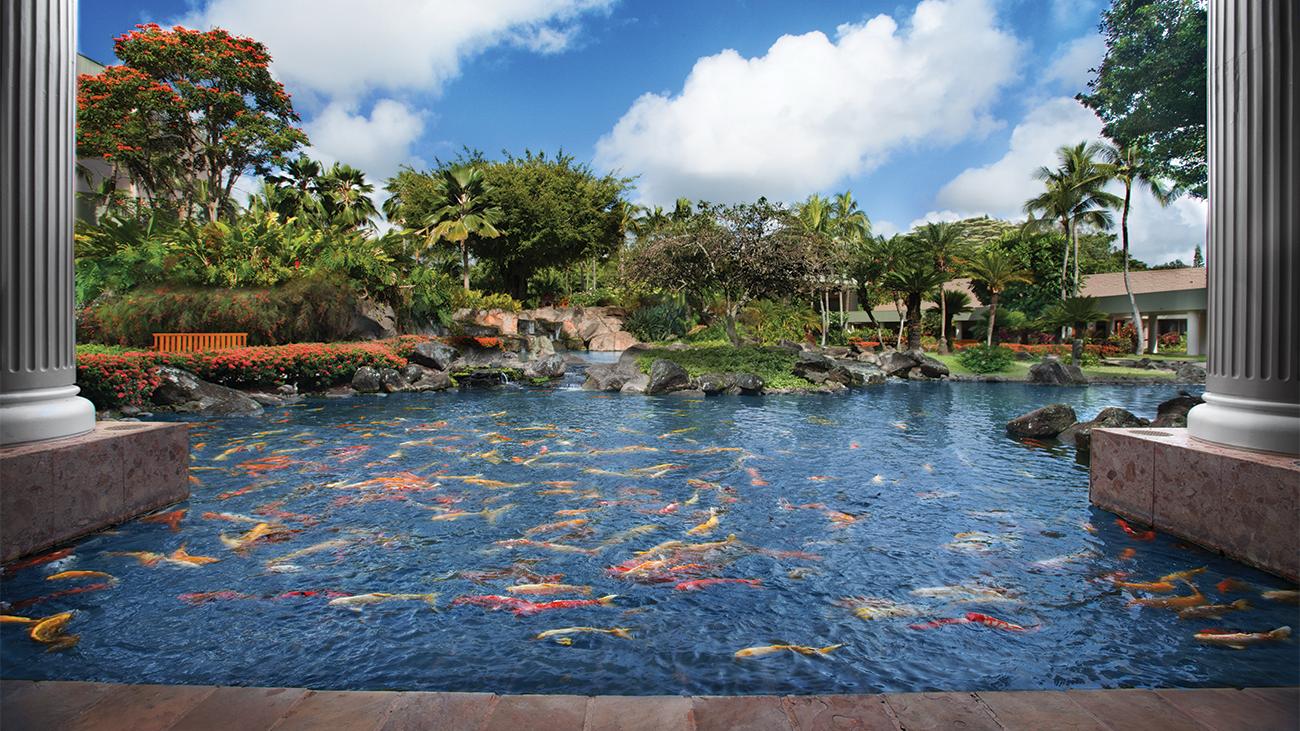 Koi Pond